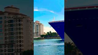 Carnival Celebration 🛳️ #share #like #subscribe #comment #cruise #vacation #shortvideo #shortsvideo