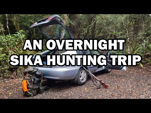 A no frills unsuccessful Sika hunting video ⛰️🥾🌦