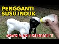 ANTI DIARRHEA MILK FOR CHILDREN Here S A Tutorial On How To Feed Milk To Newborn Goats