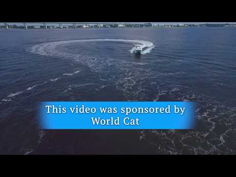 World Cat Operating a Catamaran (2018-) - By BoatTEST.com