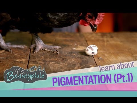 Post Inflammatory Hyperpigmentation (PIH) : Pt I - What Causes Dark Spots On Skin