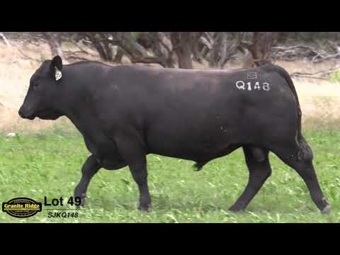 GRANITE RIDGE QUICKSILVER Q148