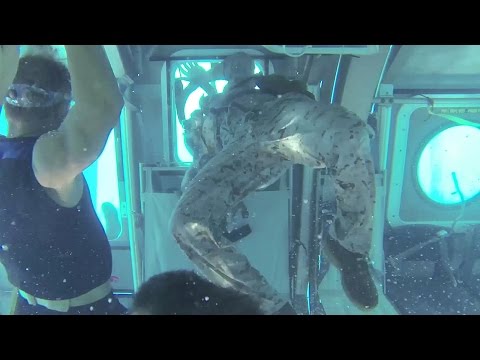 download lagu mp3 mp4 Helicopter Underwater Egress Training Huet, download lagu Helicopter Underwater Egress Training Huet gratis, unduh video klip Helicopter Underwater Egress Training Huet
