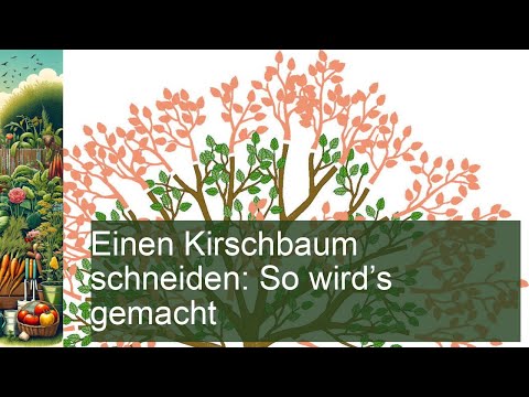 Kirschbaum richtig schneiden: Schritt-für-Schritt Anleitung für gesunde Bäume!