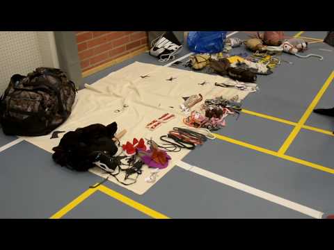 Kisapäivä 11112017// My day