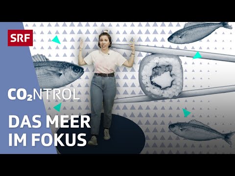 Ökosystem Meer – wie nachhaltig ist Fisch essen heute noch? [1/4] | CO2ntrol | SRF Wissen