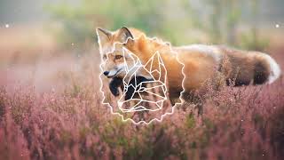 Jogo Do Amor (KVSH Feat. Calé Remix)(1Fox)(lagum)