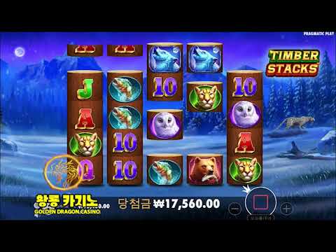 팀버 스택스 슬롯 프라그마틱플레이 프리스핀 리뷰