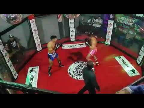 Juan Almeida pelea kick boxing hasta 71kg