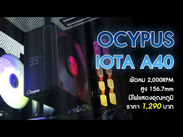 dmzTwT9itSE