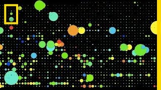 National Geographic Live! - Jer Thorp: Numbers That Paint the Picture