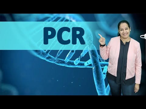 PCR (Polymerase Chain Reaction) Made Easy: Steps, Principle & Applications | Molecular Biology