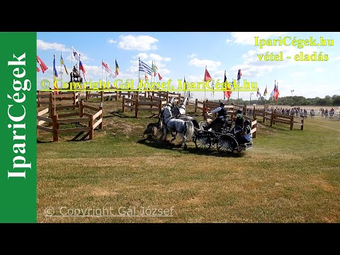 Fogathajtás, VÁCZI István (28), HUN, 4s, Marathon, 4K, Bp., 2021., sv4K210904-3-1260-220112