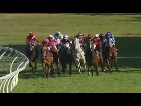 Sir Barnabus - Gold Coast Race 6