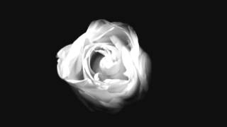 AHS: Asylum - Teaser #4 (White Rose)