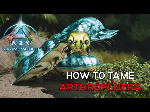 Ark Survival Ascended | How to tame ARTHROPLUERA - Easiest Method