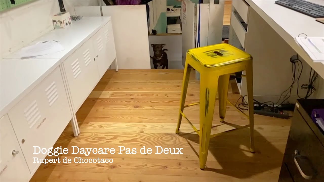 Rupert  - Doggie Daycare Pas de Deux
