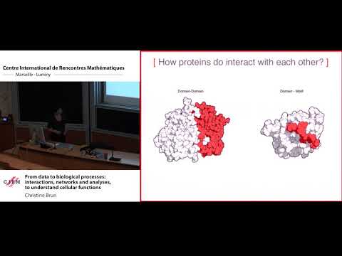Christine Brun: From data to biological processes: interactions, networks and analyses, to...
