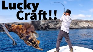 Run & Gun Calico Bass Fishing [Lucky Craft]
