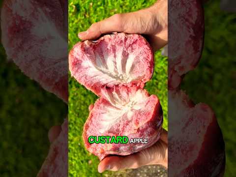 Top 3 Sweet Fruits #florida #food #season