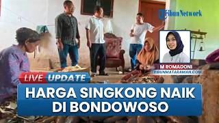 Harga Meroket, Singkong di Bondowoso Langka, Sejumlah Pengusaha Tape Kurangi Produksi & Gulung Tikar