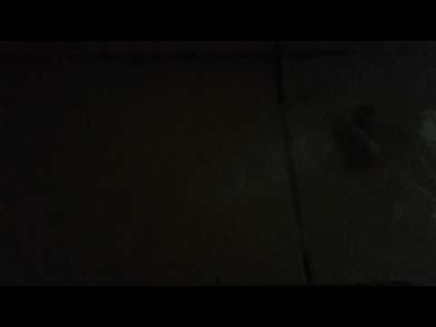 The very fast lizard