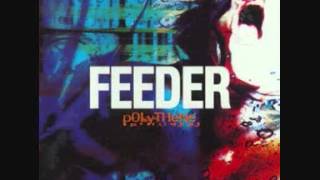Feeder - Radiation cover