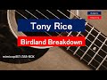 Birdland Breakdown  Tony Rice   mimicopi83's Guitar TAB