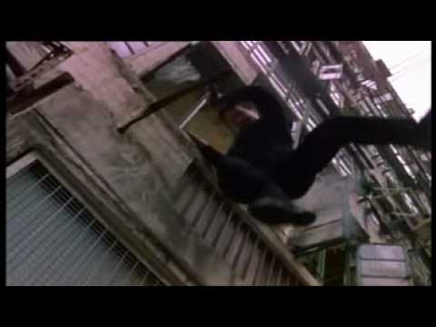 Trailer-Vorschau: Jet Li Contract Killer - Im Auftrag des Todes