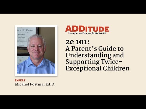 A Parents’ Guide to Understanding & Supporting Twice-Exceptional 2e Children (Michael Postma, Ph.D.)