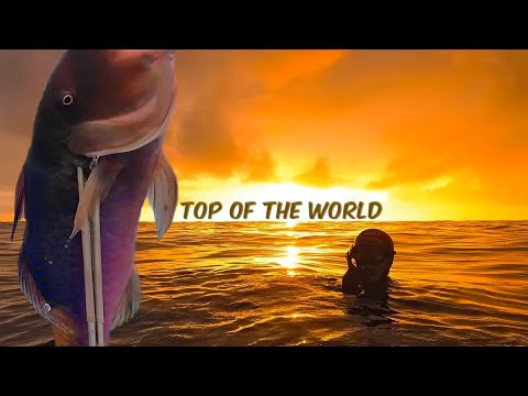 Homie Almost DIES! I Lose My Gun and Tear My Wetsuit in Half! - Spearfishing Hawaii