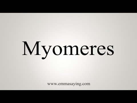 download lagu mp3 mp4 Myomeres, download lagu Myomeres gratis, unduh video klip Myomeres