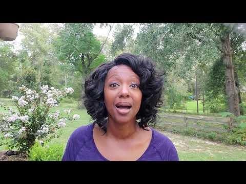 Take Your Spanking and Get it Over With!