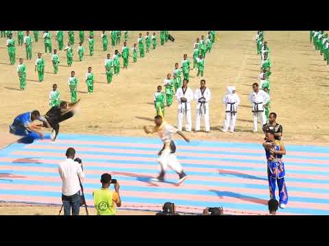 Ethiopian Wushu Martial Art 2023/2016