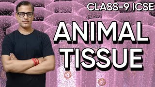 Tissues Plant and And Animal Tissues ICSE Class 9 | Tissues Class 9 ICSE | @sirtarunrupani
