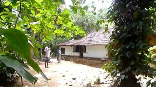 preview picture of video 'Sri Lanka,ශ්‍රී ලංකා,Ceylon,Antic Jungle House'