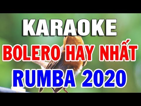 Karaoke Liên Khúc Bolero Nhạc Vàng Hay Nhất | Nhạc Sống karaoke Trách Ai Vô Tình | Trọng Hiếu