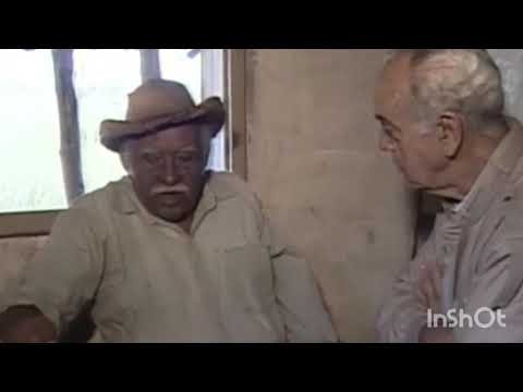 GLOBO FIRES JOSÉ HAMILTON RIBEIRO!