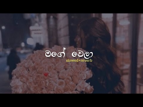 මගේ වෙලා | Slowed+Reverb | Mage Wela|