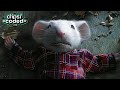 Stuart Little 1999 The Heartbreaking Truth Stuart Didn T See Coming