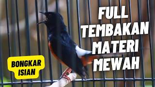 Download lagu MASTERAN MURAI BATU FULL ISIAN TEMBAKAN MEWAH SANGAT AMPUH MELATIH MURAI BATU BONGKAR ISIAN mp3 Download lagu MASTERAN MURAI BATU FULL ISIAN TEMBAKAN MEWAH SANGAT AMPUH MELATIH MURAI BATU BONGKAR ISIAN mp3