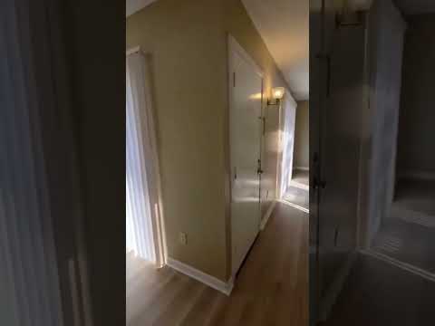 302 Pillette - Video 2 of 2