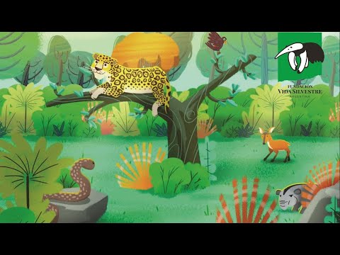 Yaguareté, el rey de nuestras selvas