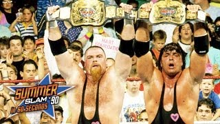 WWE SummerSlam 1990 (1990) Video