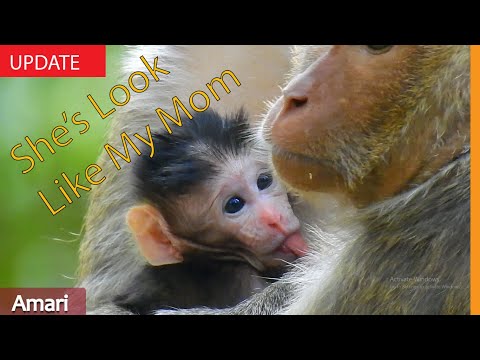 Shocking .. Smallest Mariel Stop Nurse Seeing Jill Similar to Her Mom