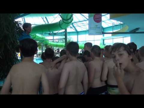 Schulschwimm-Meeting im Lausitzbad - ELSTERWELLE