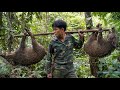 200 Days Of Survival Trapping Wild Animals Confronting Predators Hunting Chasing Green Forest