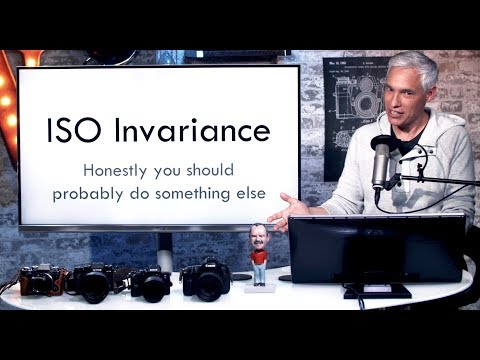 ISO Invariance (ISO is Fake Follow-up)