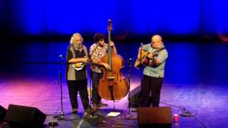 SHADY GROVE David Grisman Folk Jazz Trio highlight at Fayetteville Roots Festival 2012