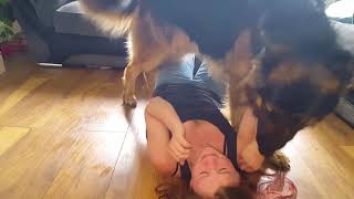 German shepherd helps with exercising